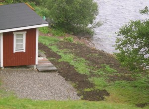 Först hade jag tänkt mig en pampigare altan, men så tänkte jag om och då blev det ytterligare en rand med jord närmast huset. Den frodigare randen är resultatet av tuvtricket.