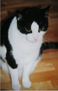 alexander