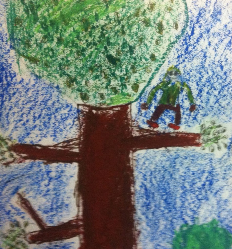 klättra träd