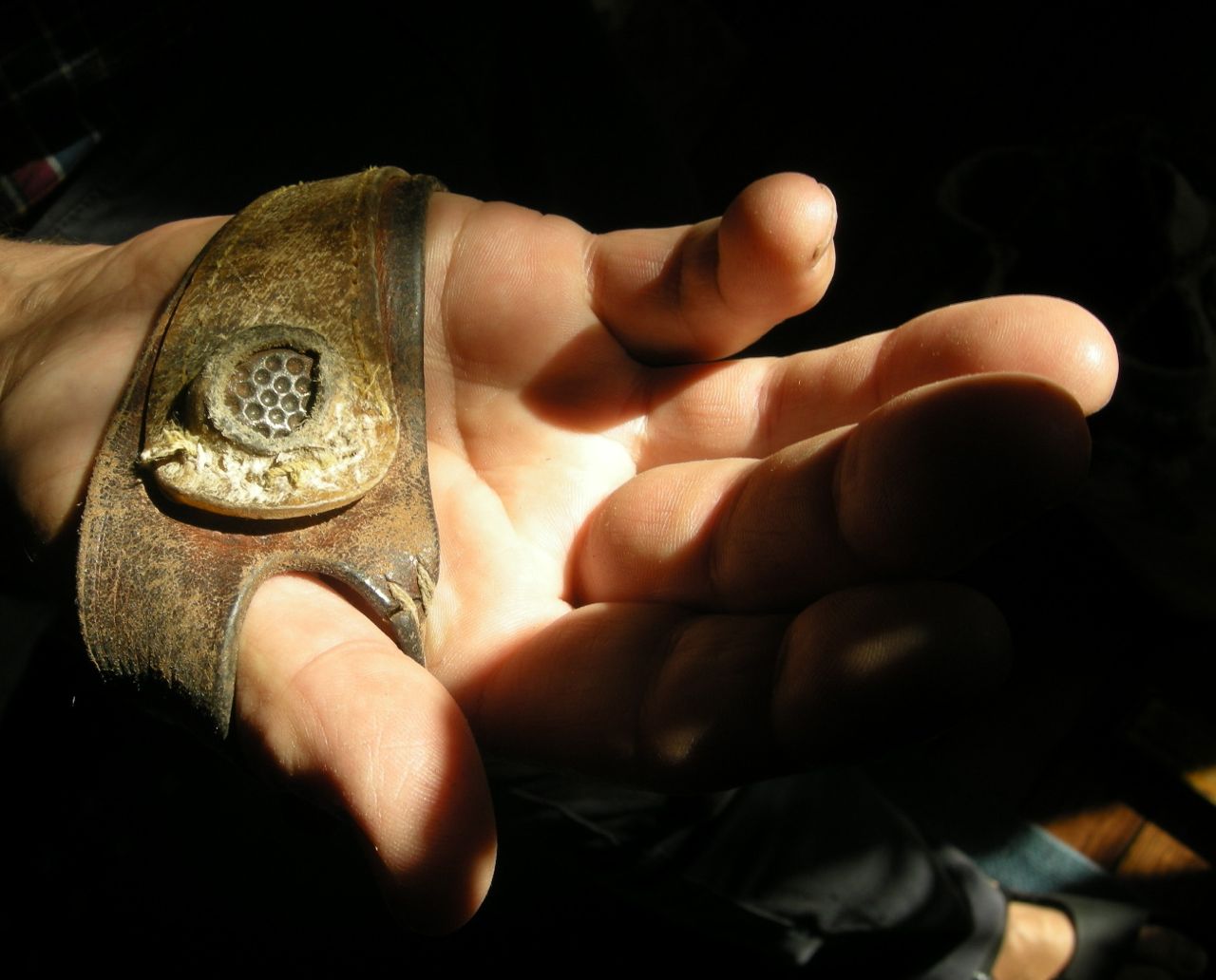 Fingerborg Ring Segelmakarens fingerborg | Karin Englund