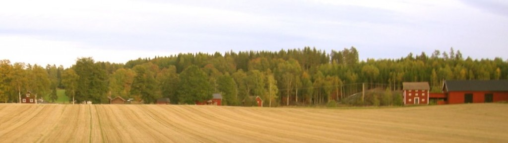 stubbåker