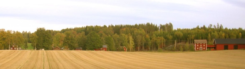 stubbåker