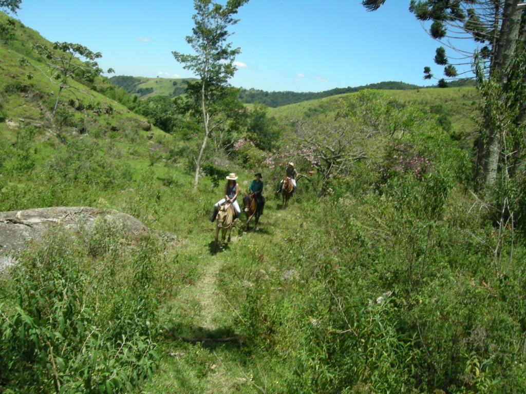 fazenda