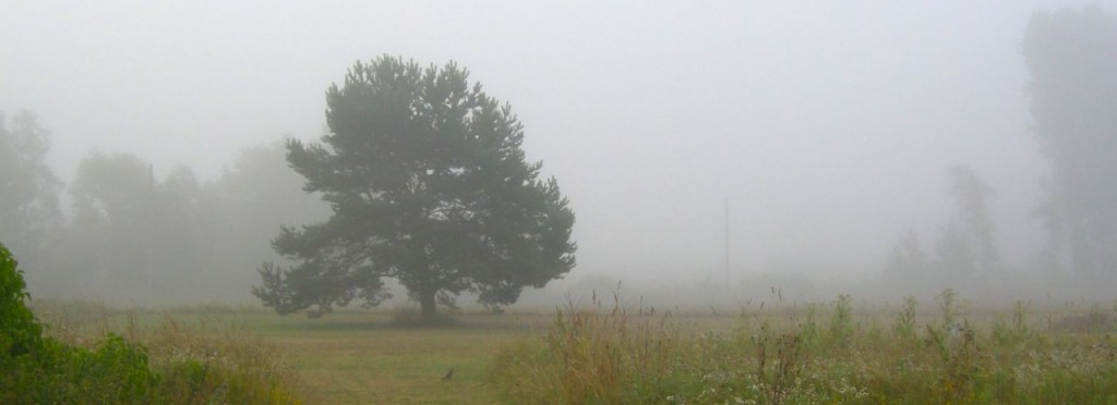 dimma gotland