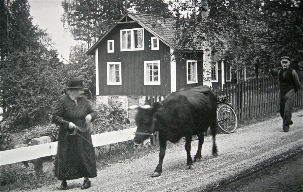 farmor och koa på väg