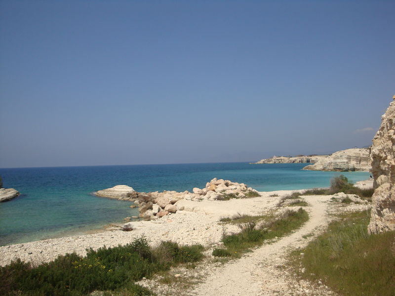 Latakia