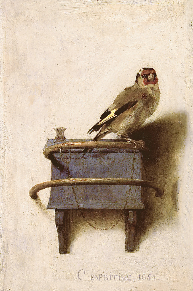 steglits Fabritius (1)