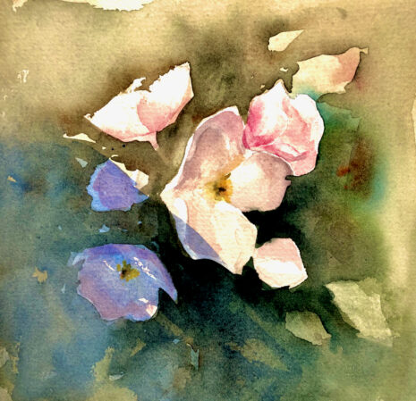 blomma